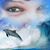 Kim Burrows's profile image