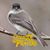Debbie Gilchrist's profile image