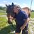 Mario Vitali's profile image