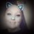 Shan Marie's profile image