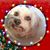 Imelda Campos's profile image