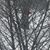Jessica Steimel Peters's profile image