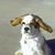 Pam Locke's profile image