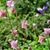 Marcia Howard's profile image
