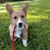 Maisie Westlynn's profile image
