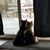 Wendy Compan Lilly's profile image