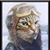David Scott's profile image