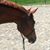Barb Van Housen's profile image