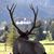 Richard Roche's profile image