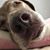 Dana Ashlyn Hunt's profile image
