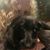 Kimberly Annette's profile image