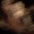 Junk Cars's profile image