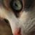 Claudia Perez's profile image