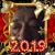 Sheldon Howell's profile image