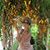 Lanie Mirafuente Agoto Schwendenman's profile image