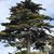 Kelly Ann Miller-Markiel's profile image