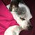 Michelle Manning Thompson's profile image