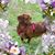 Shannon Talkington's profile image