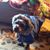 Tina Werchek's profile image