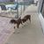 Diane Shaffer's profile image
