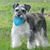 Jackie Pangborn's profile image