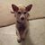 Beth Reimund's profile image
