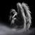 Jai Spataro's profile image