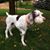 Steve Beckhorn's profile image