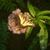 Cynthia Clark Warner's profile image
