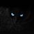 Aldo Bartone's profile image