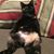 Breann E Turnbough's profile image