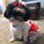 Didi Stone's profile image