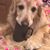 Henry Boyer's profile image