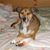 Sandy Cole's profile image