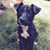 John Lefever's profile image