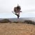 Saff Douglas's profile image