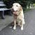 Sherrie Peil Brissette's profile image