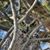 Vina Dorff's profile image