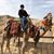 Suzanne Roth Jackson's profile image