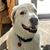 Michele Satterly Walker's profile image