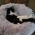 Stephanie Donofrio's profile image