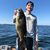 Raymond Gratton's profile image