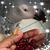 Thea Martin's profile image
