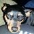 Cheryl Ann Cook's profile image