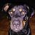 Terri Keffer's profile image