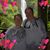 Lynn Bean's profile image