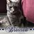 Jeanne McGarvey's profile image