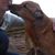 Jennabay Crochet's profile image