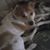 Danielle Marie Wilson Chadwell's profile image