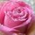 Tina Williams Harr's profile image